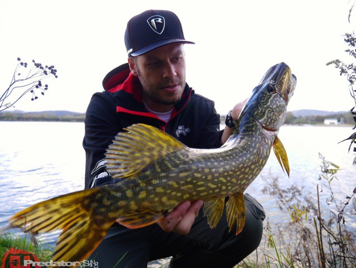 Raw Finesse Maßband, denn auf die Länge kommt es an