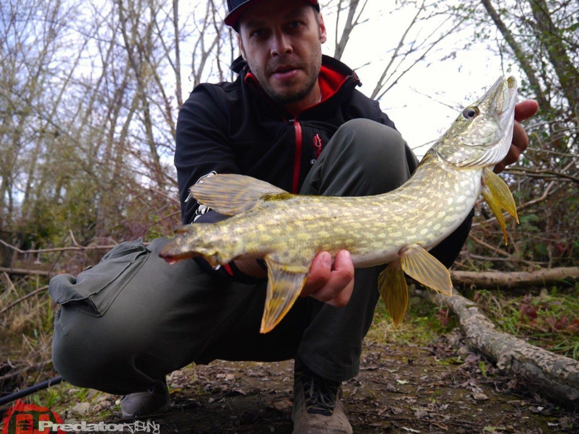 Raw Finesse Maßband, denn auf die Länge kommt es an