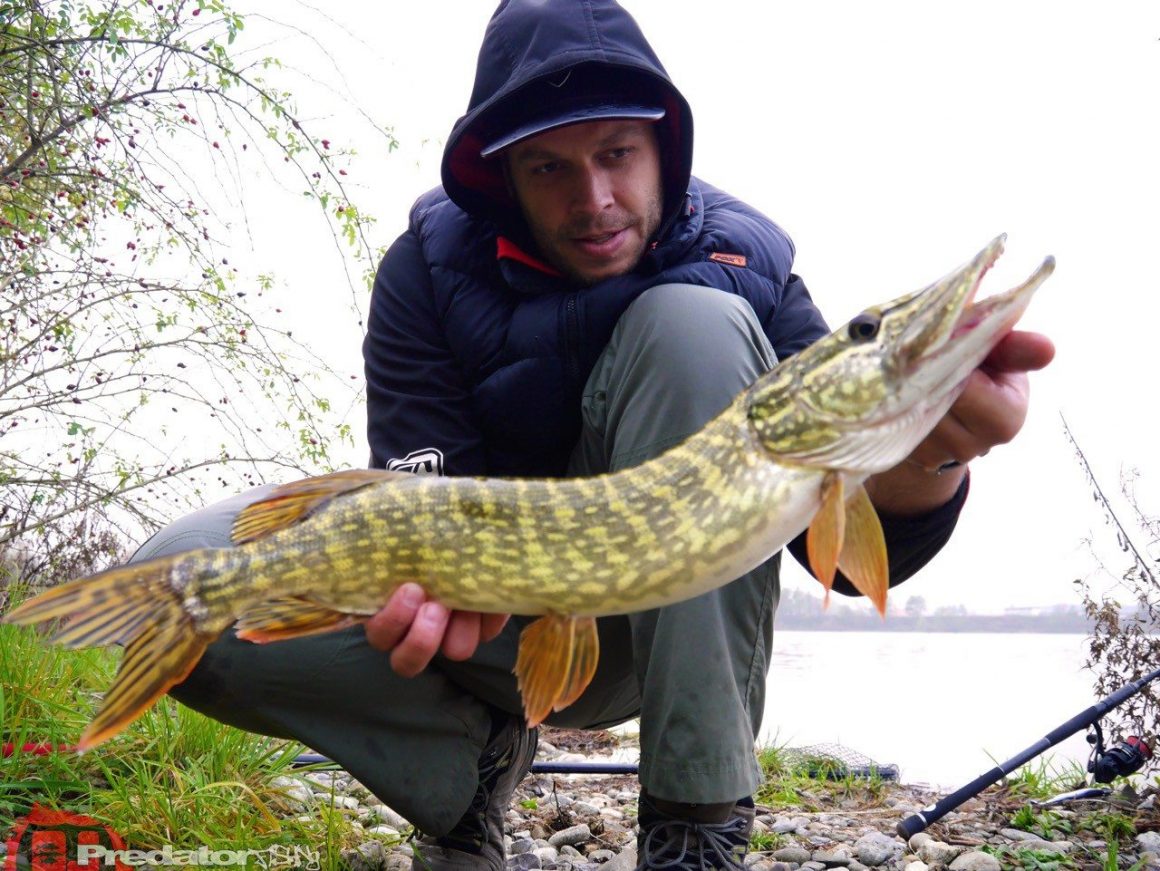 Raw Finesse Maßband, denn auf die Länge kommt es an