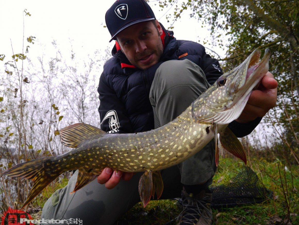 Raw Finesse Maßband, denn auf die Länge kommt es an