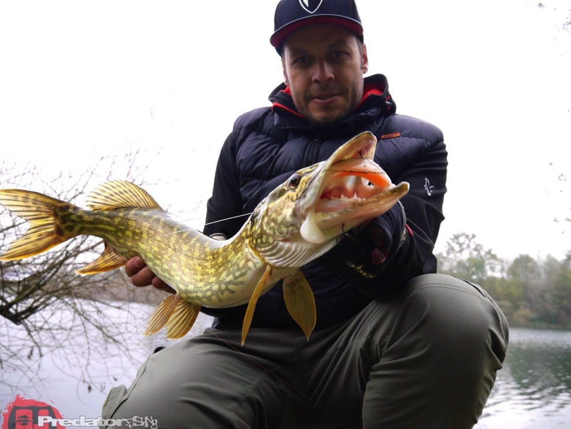 Raw Finesse Maßband, denn auf die Länge kommt es an
