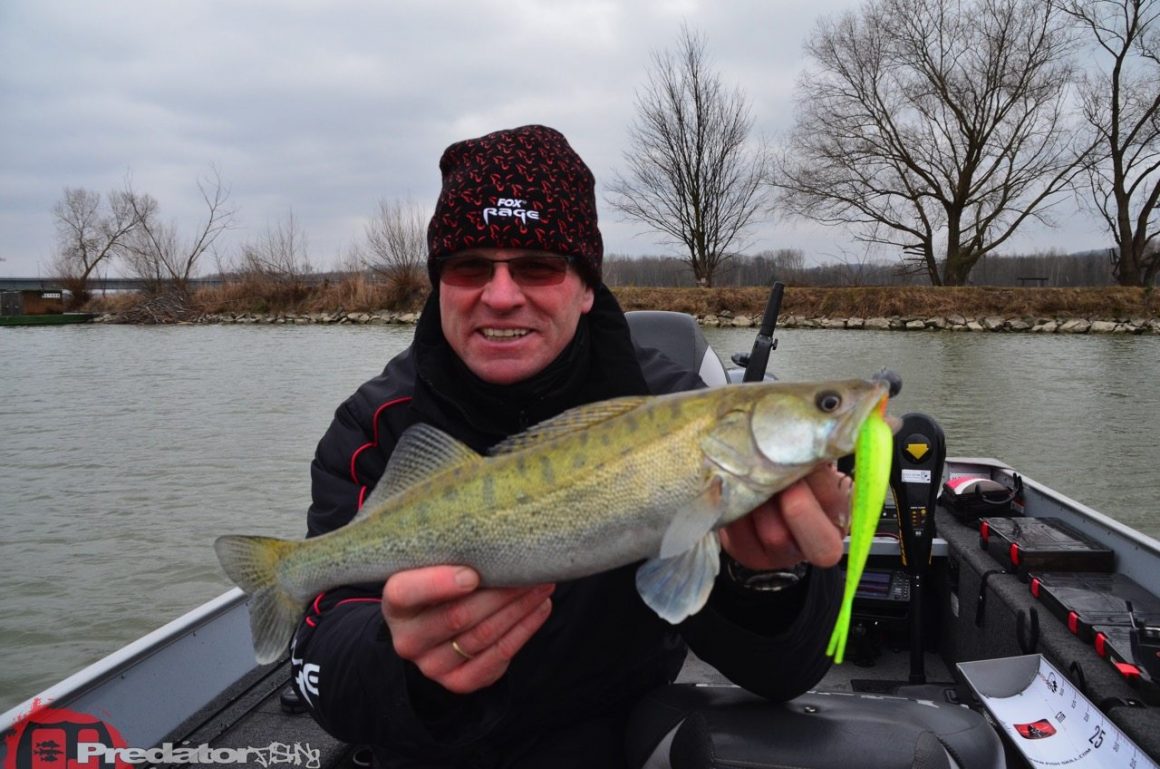 Saison 2015, die wird spannend auf Zander und Barsch an der Donau