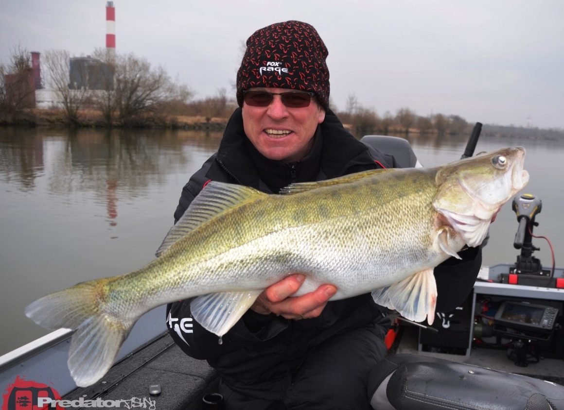 Saison 2015, die wird spannend auf Zander und Barsch an der Donau