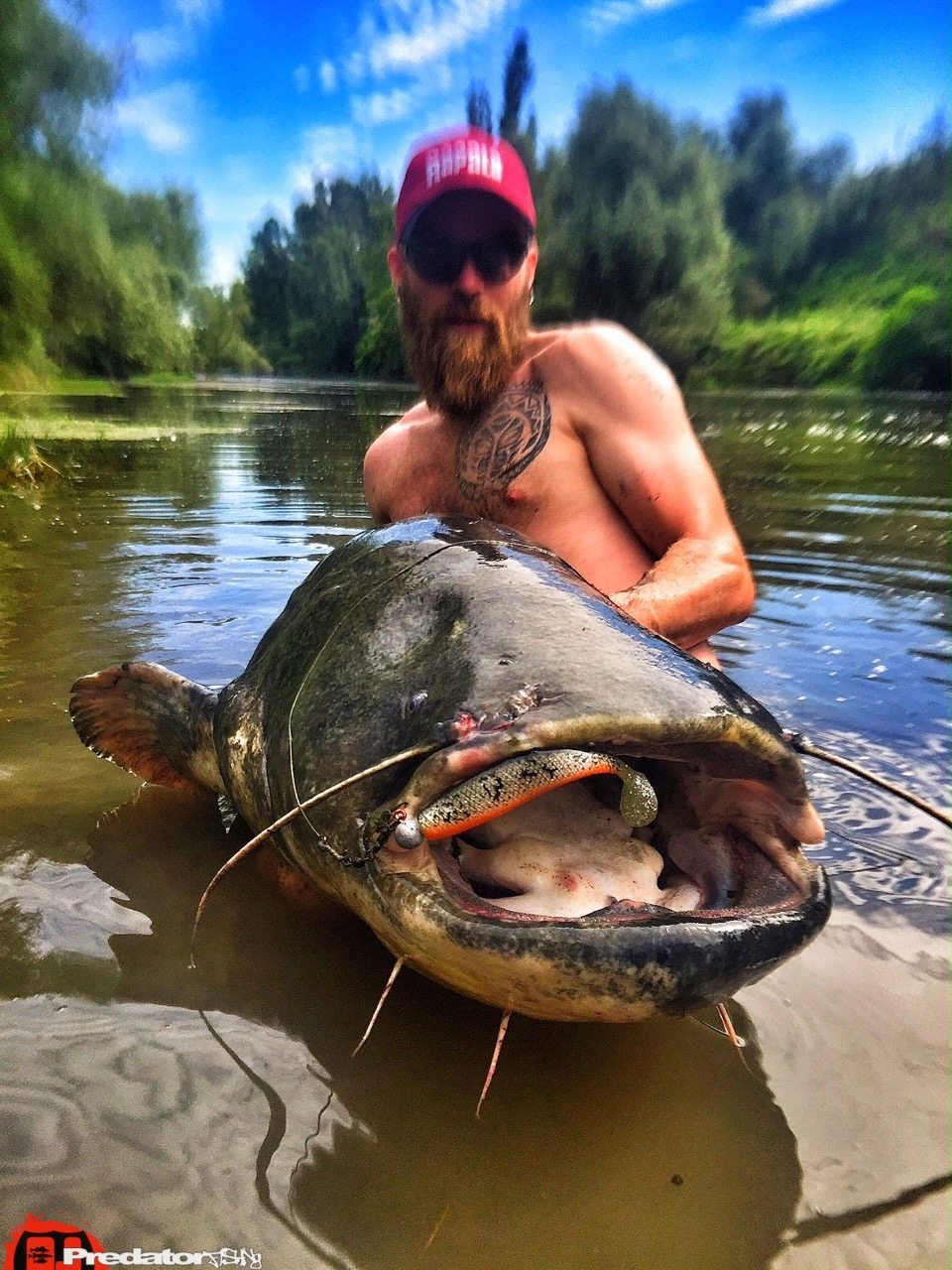 Vom Stau bei Mequinenza über die Flüsse Segre und Cinca zum Wels