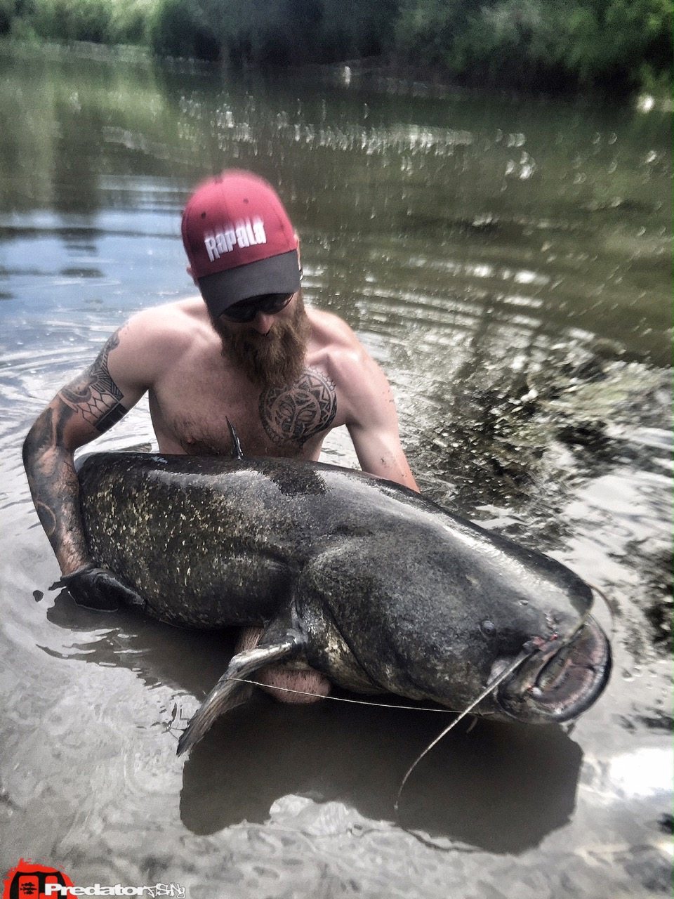Vom Stau bei Mequinenza über die Flüsse Segre und Cinca zum Wels