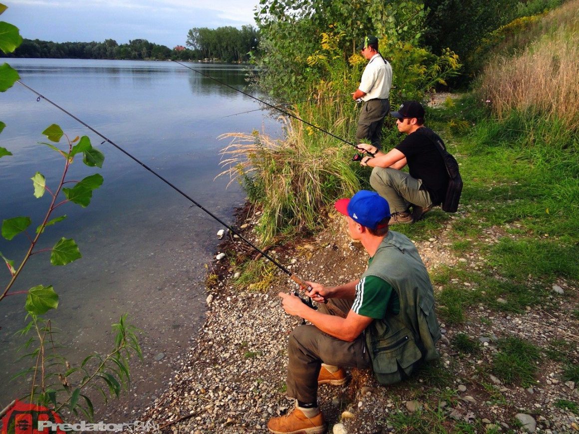 Wenn die Hechte nicht aktiv sind