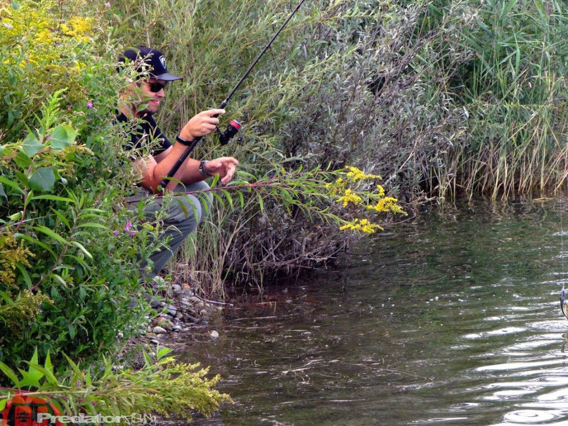 Wenn die Hechte nicht aktiv sind