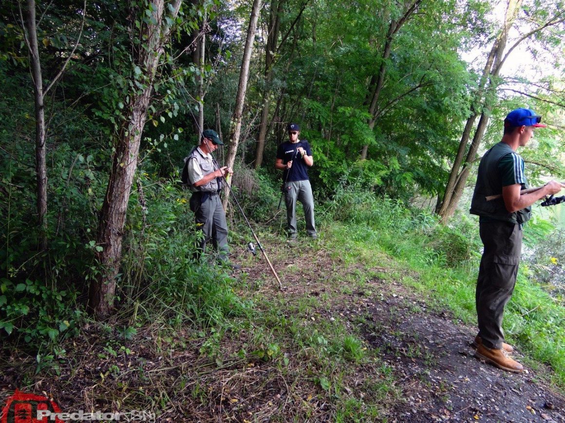 Wenn die Hechte nicht aktiv sind