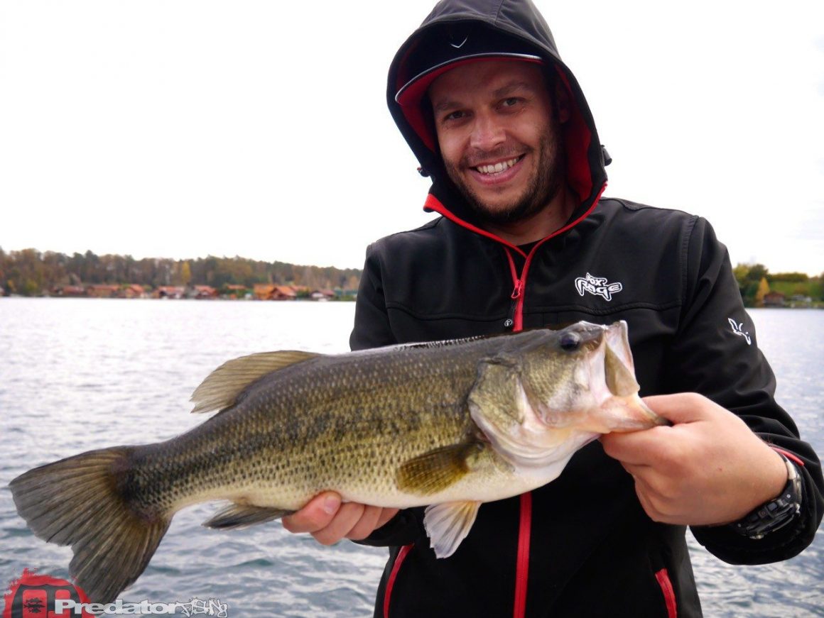 Wir fängt man Schwarzbarsch am Baggersee FOX Rage