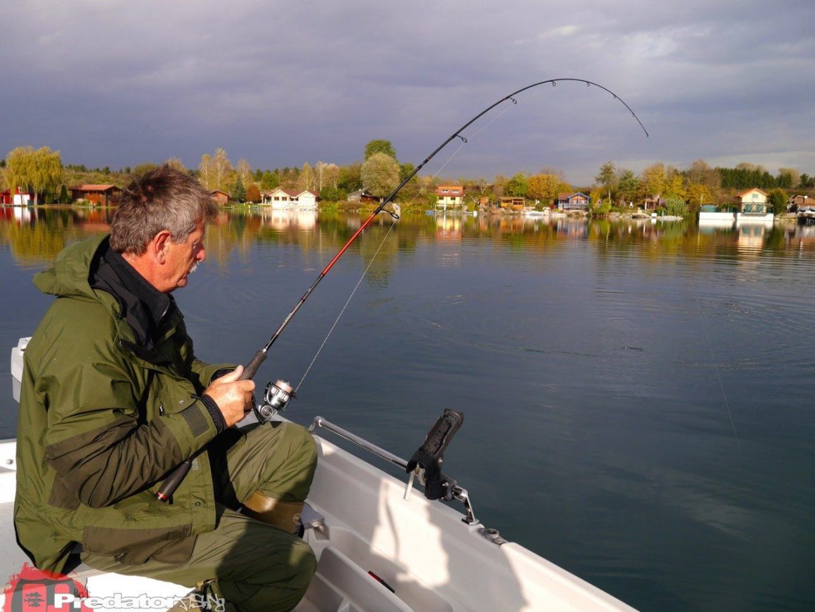 Wir fängt man Schwarzbarsch am Baggersee FOX Rage
