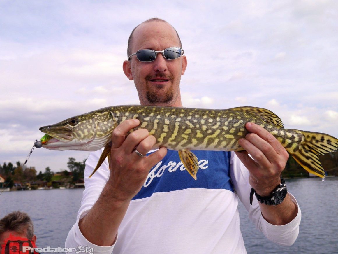 Wir fängt man Schwarzbarsch am Baggersee FOX Rage