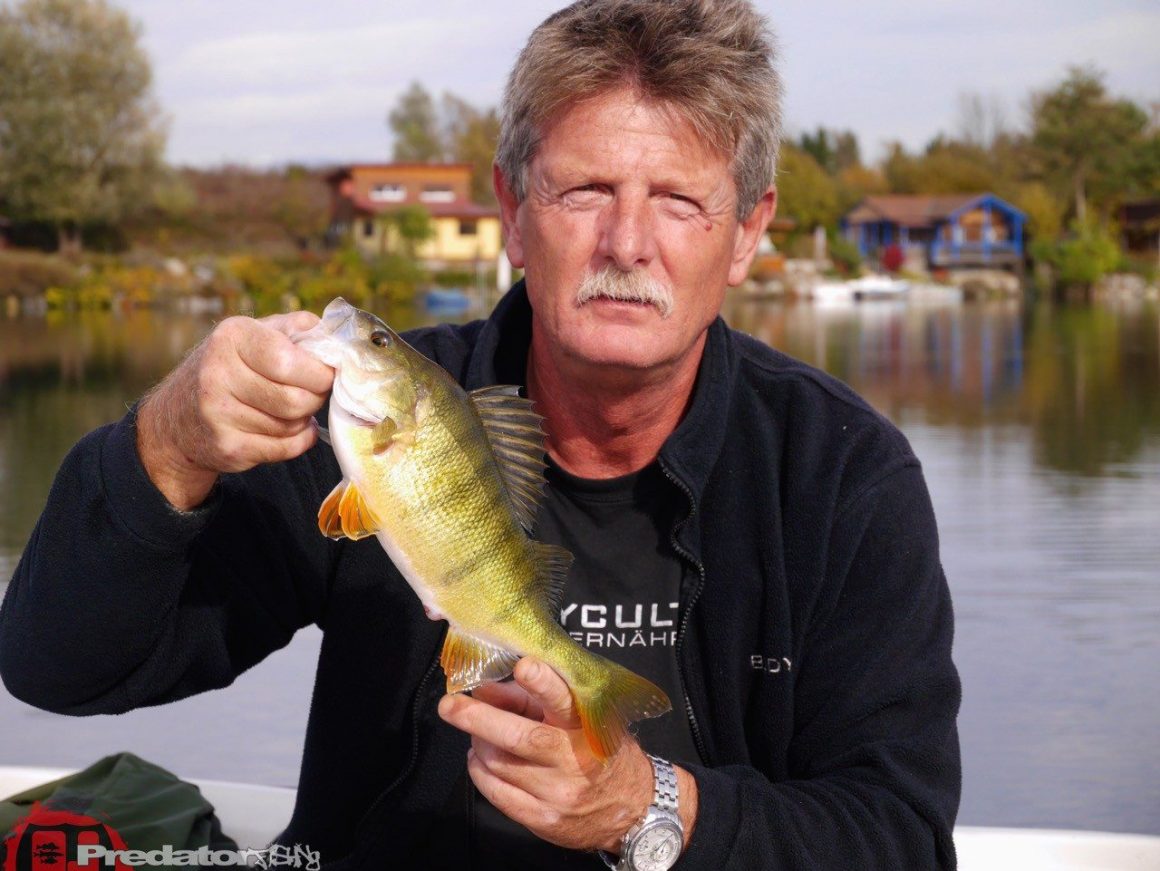 Wir fängt man Schwarzbarsch am Baggersee FOX Rage