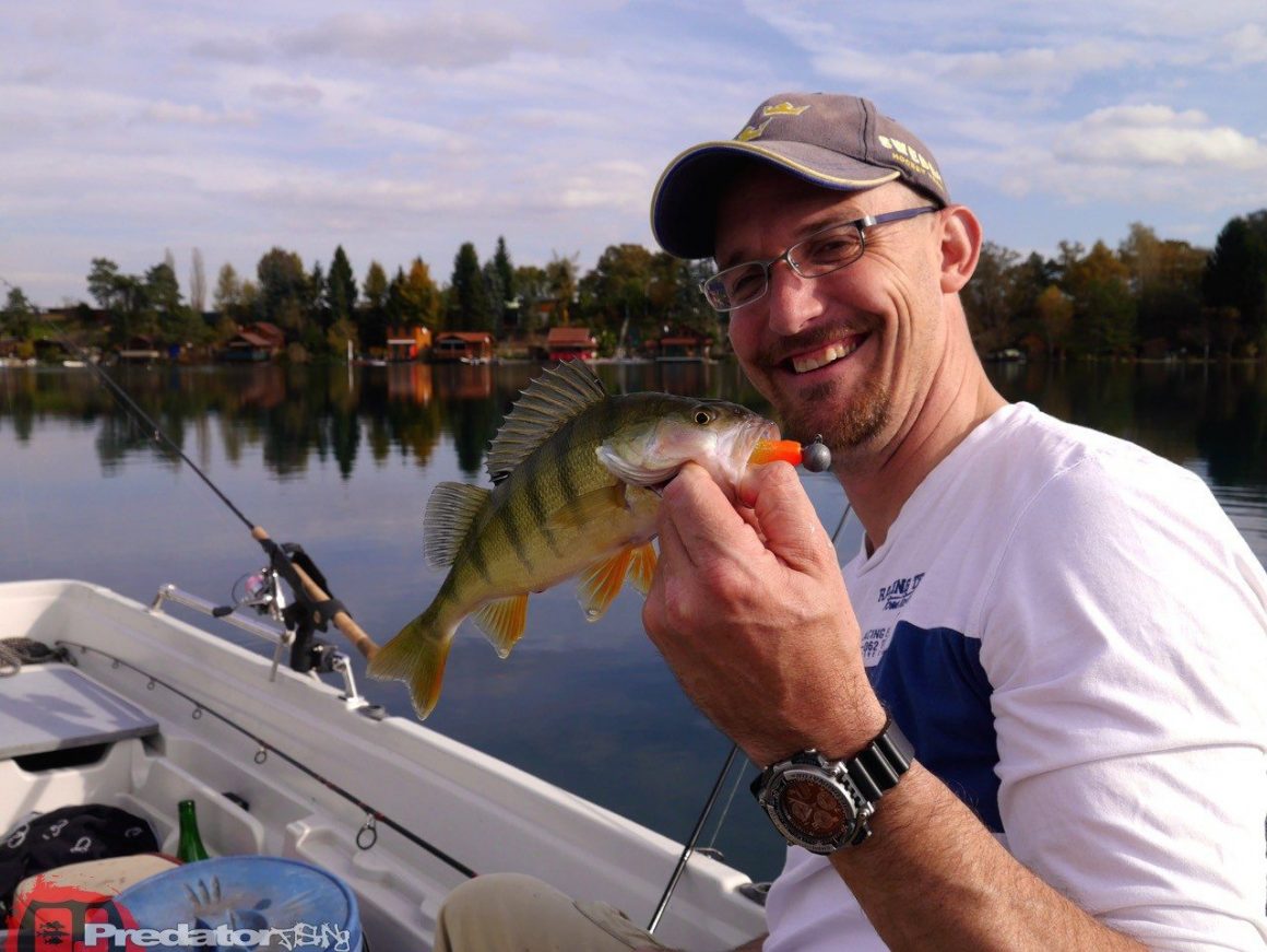 Wir fängt man Schwarzbarsch am Baggersee FOX Rage