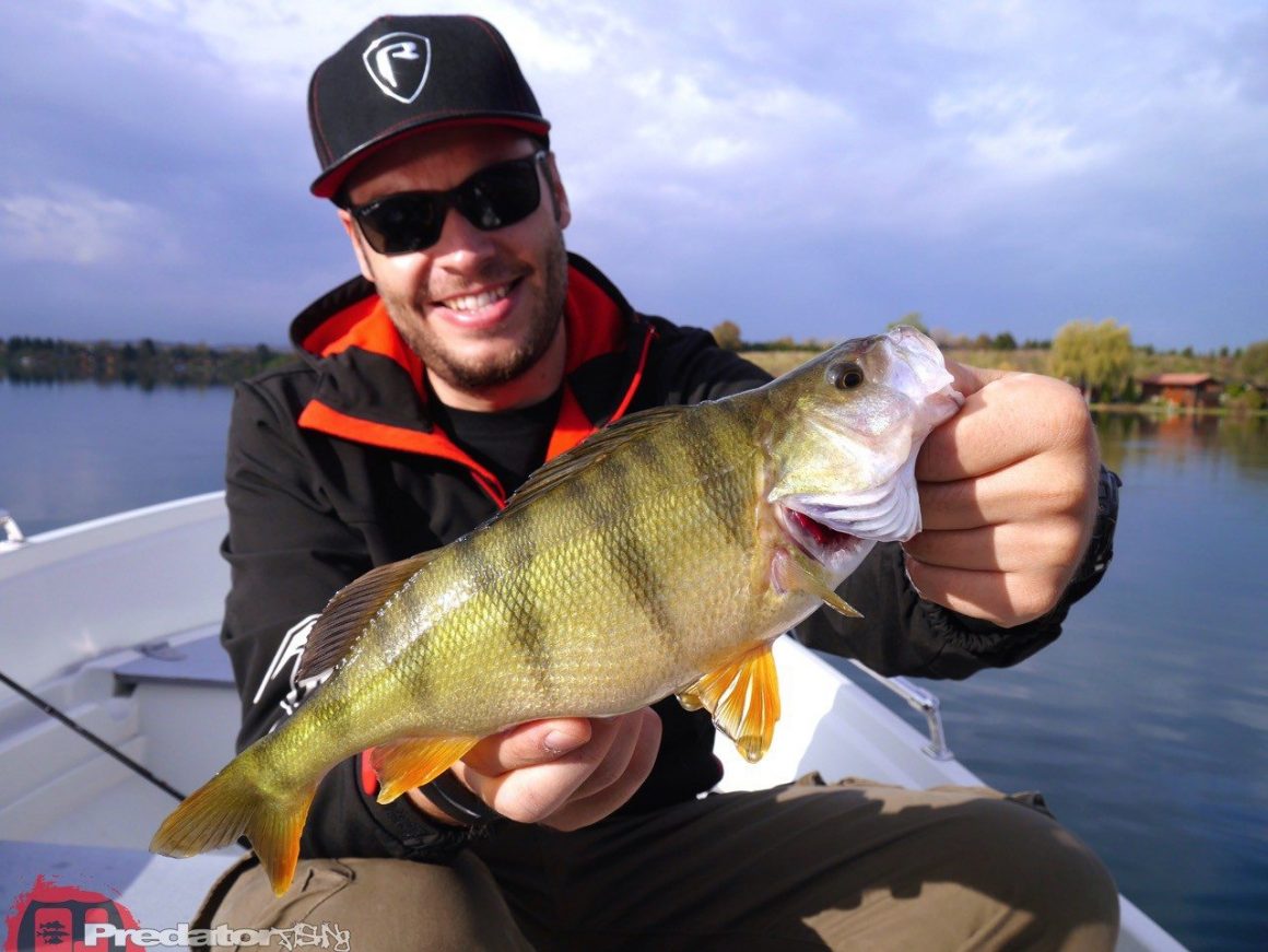 Wir fängt man Schwarzbarsch am Baggersee FOX Rage