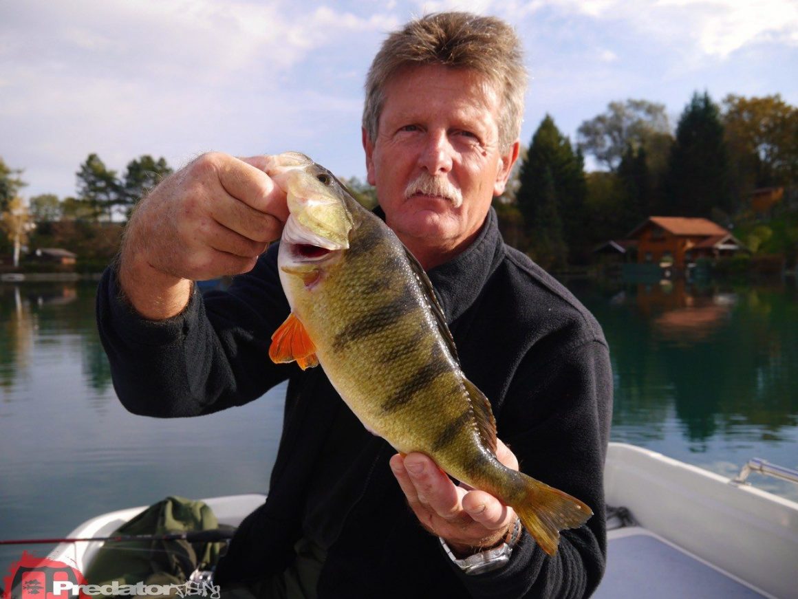 Wir fängt man Schwarzbarsch am Baggersee FOX Rage