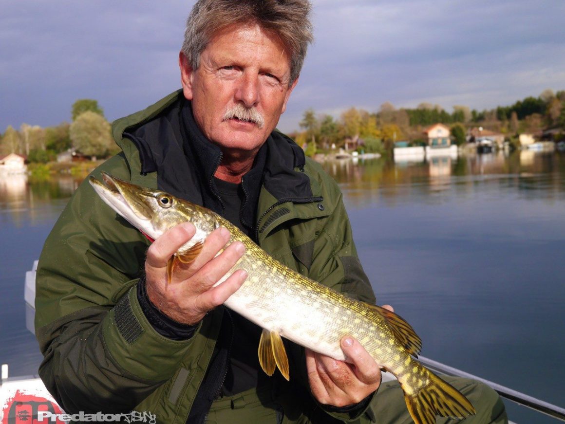 Wir fängt man Schwarzbarsch am Baggersee FOX Rage