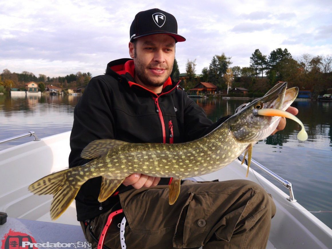Wir fängt man Schwarzbarsch am Baggersee FOX Rage