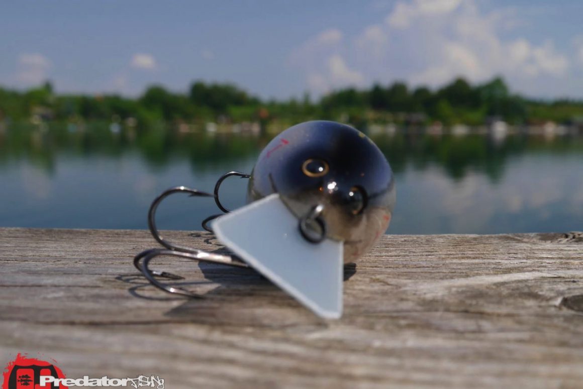 Megabass BIG-Z Z-Crank bluebackshad Black Label