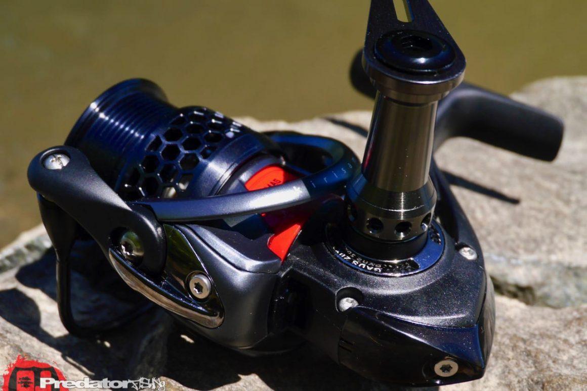 Megabass Gaus 20X mit Megabass Dragon Call Super Finesse