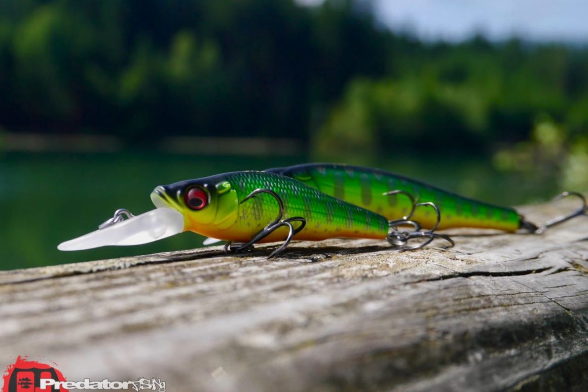 Megabass Great Hunting