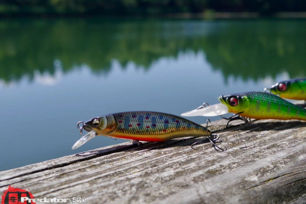 Megabass Great Hunting