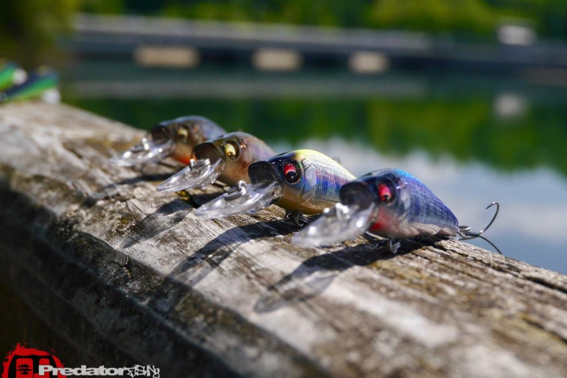 Megabass Great Hunting