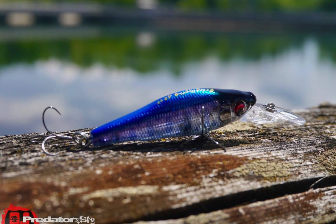 Megabass Great Hunting