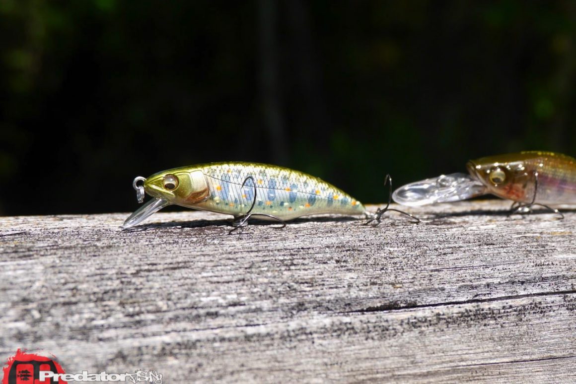 Megabass Great Hunting