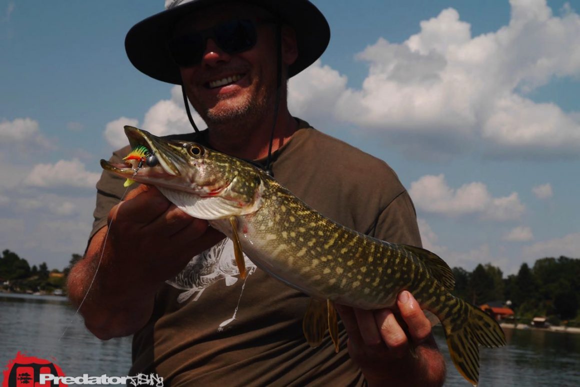 Raubfisch-Spots finden? Crankbaits Megabass BIG-Z Elbo Dive Westin Hypoteez