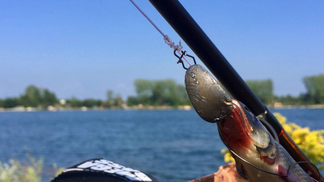 Meterhecht im Sommer auf Westin ShadTeez