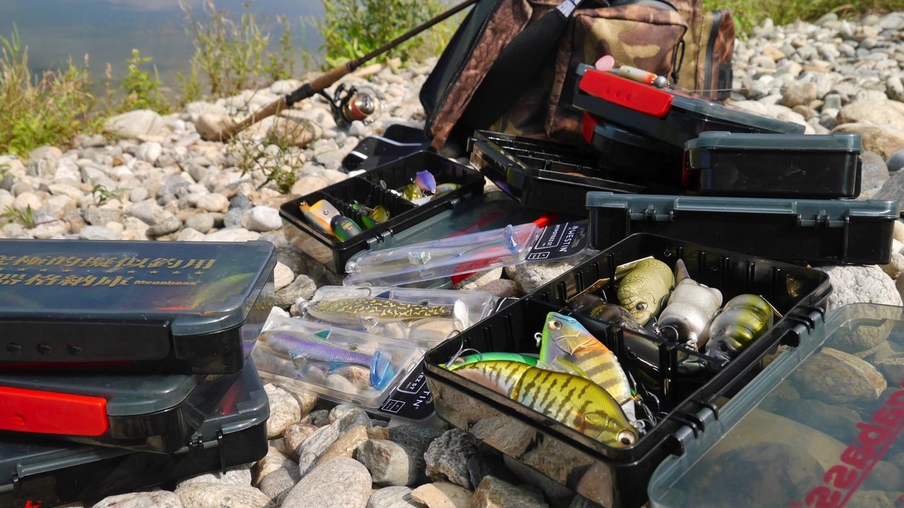 Meterhecht im Sommer auf Westin ShadTeez