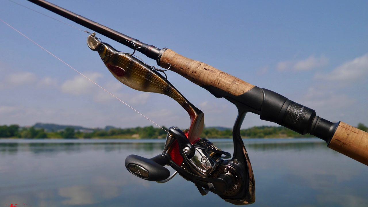 Meterhecht im Sommer auf Westin ShadTeez