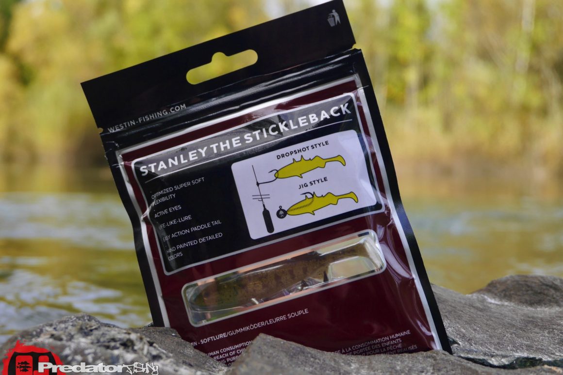 Westin STANLEY THE STICKLEBACK