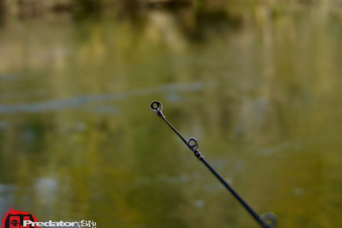 Westin W3 STREETSTICK