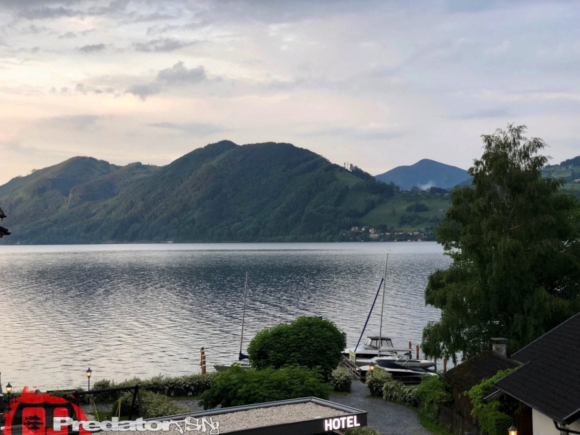 Raubfisch-Angeln am Attersee