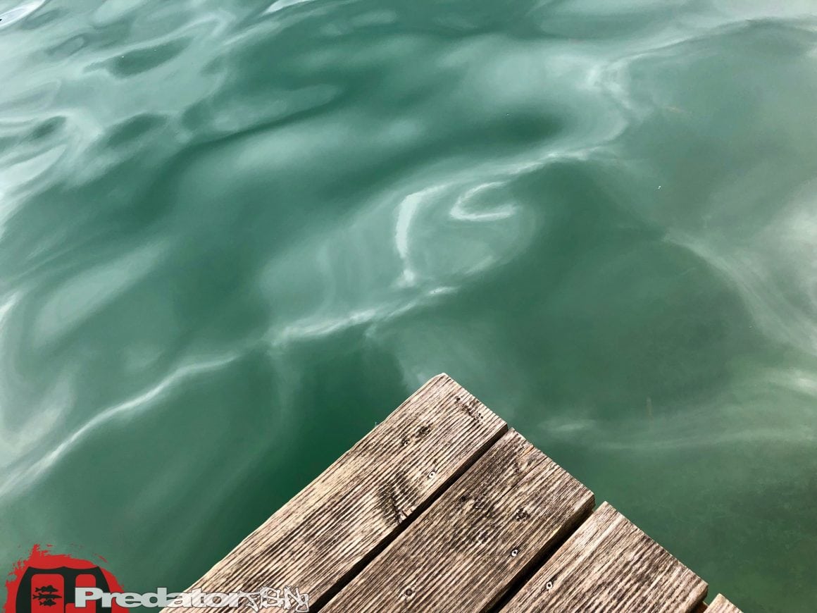 Raubfisch-Angeln am Wolfgangsee im Salzkammergut