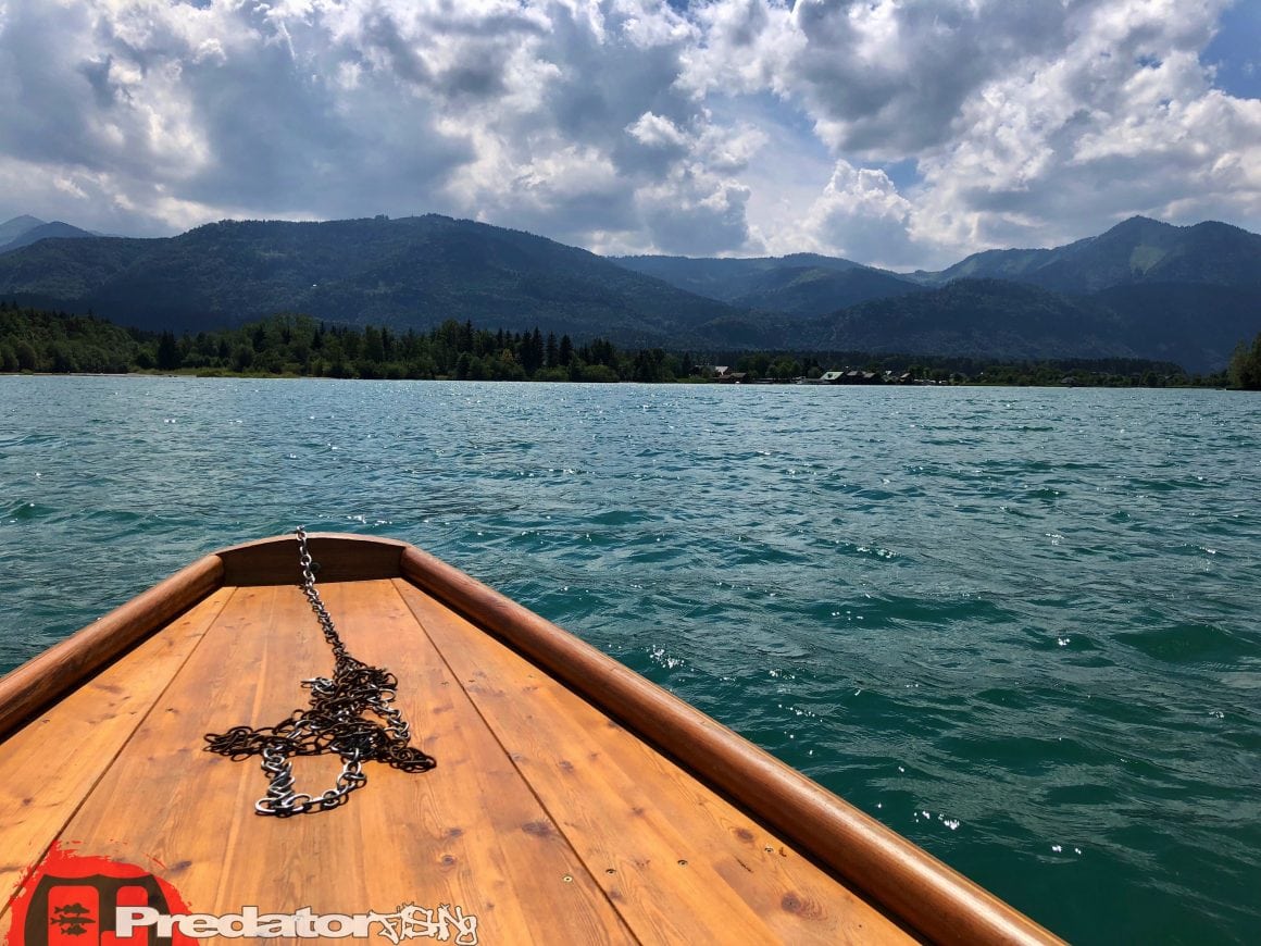 Raubfisch-Angeln am Wolfgangsee im Salzkammergut