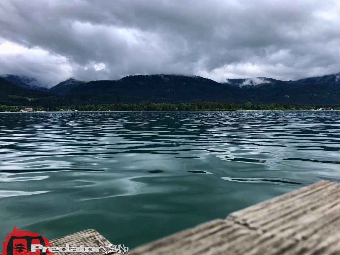 Raubfisch-Angeln am Wolfgangsee im Salzkammergut