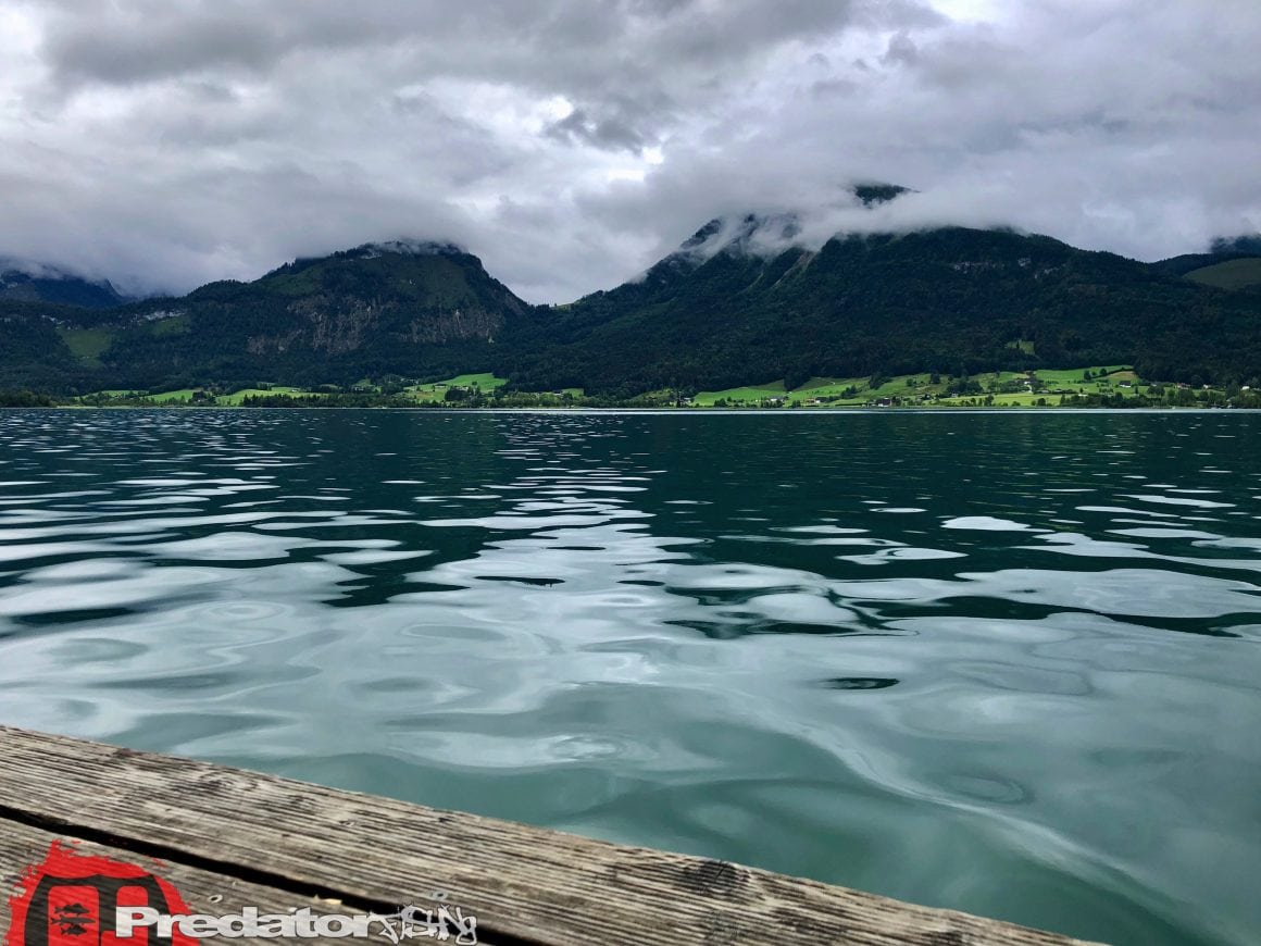 Raubfisch-Angeln am Wolfgangsee im Salzkammergut