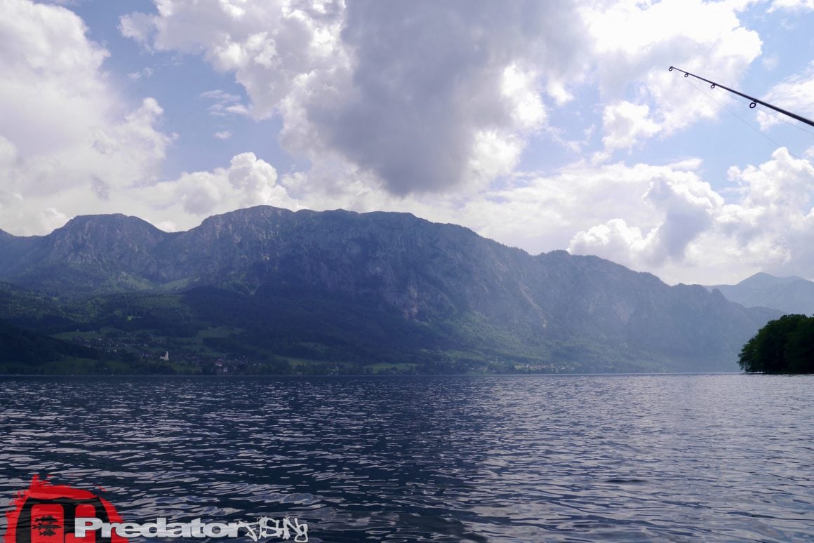 Raubfisch-Angeln am Attersee