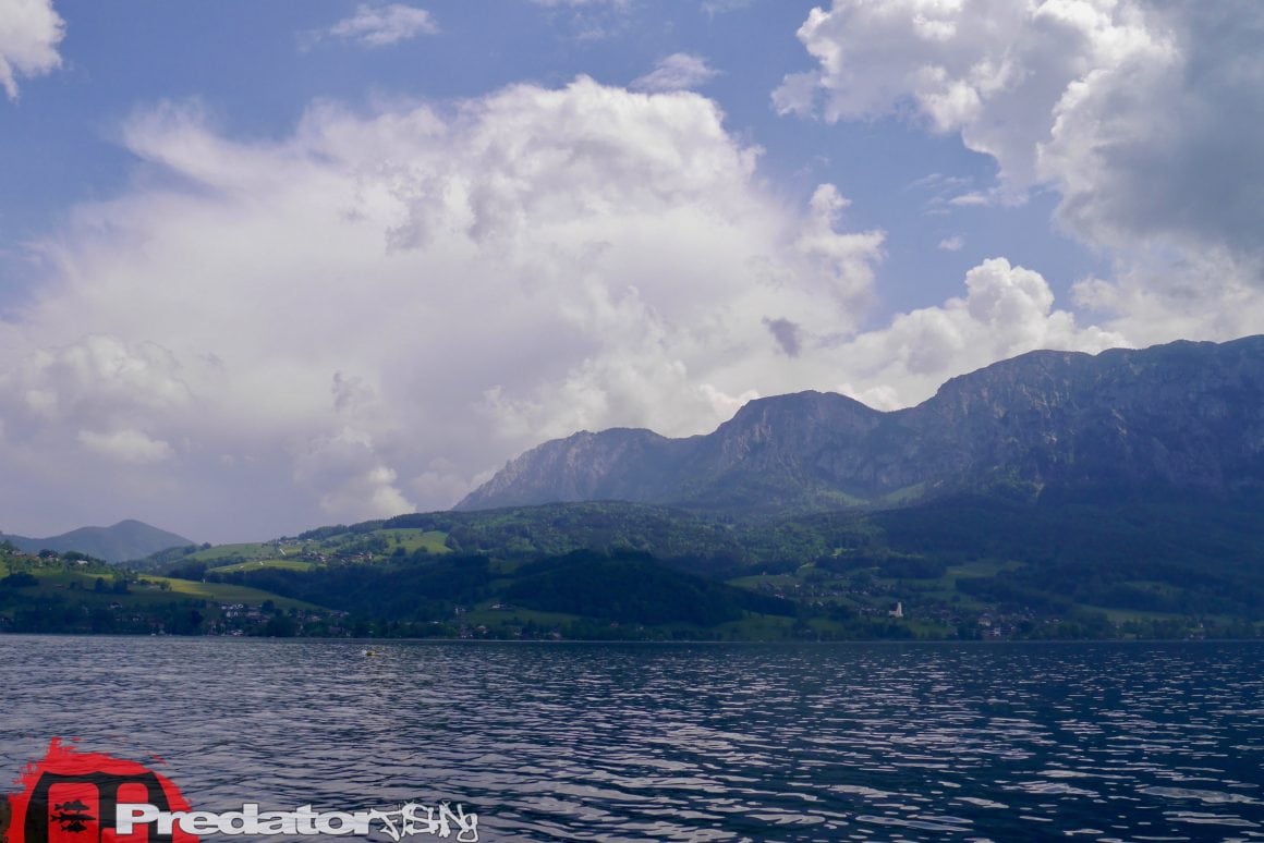 Raubfisch-Angeln am Attersee