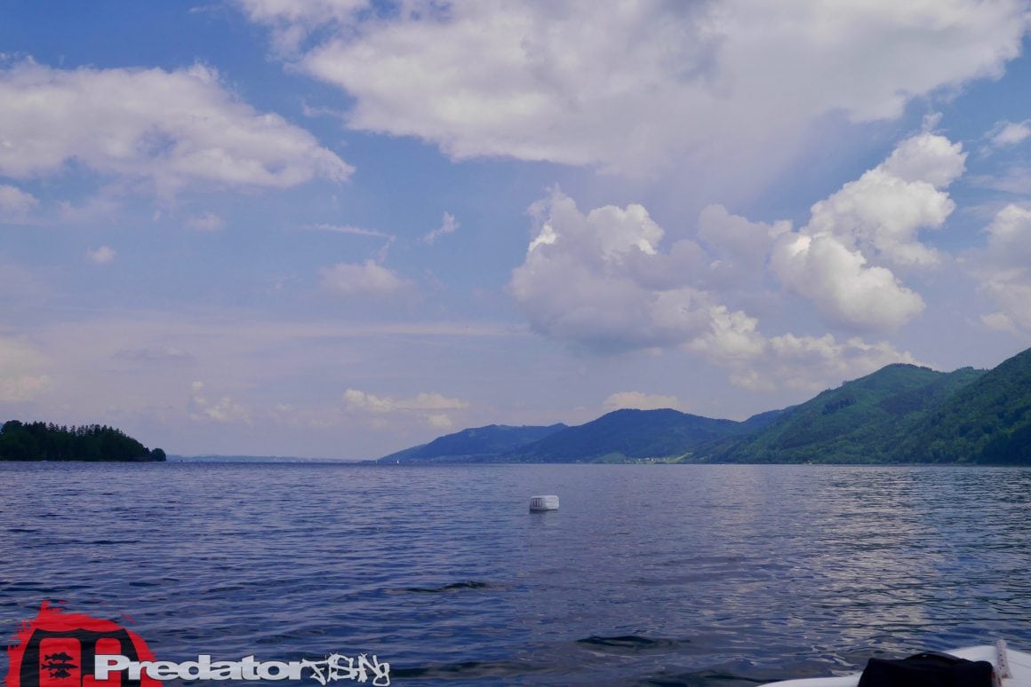 Raubfisch-Angeln am Attersee