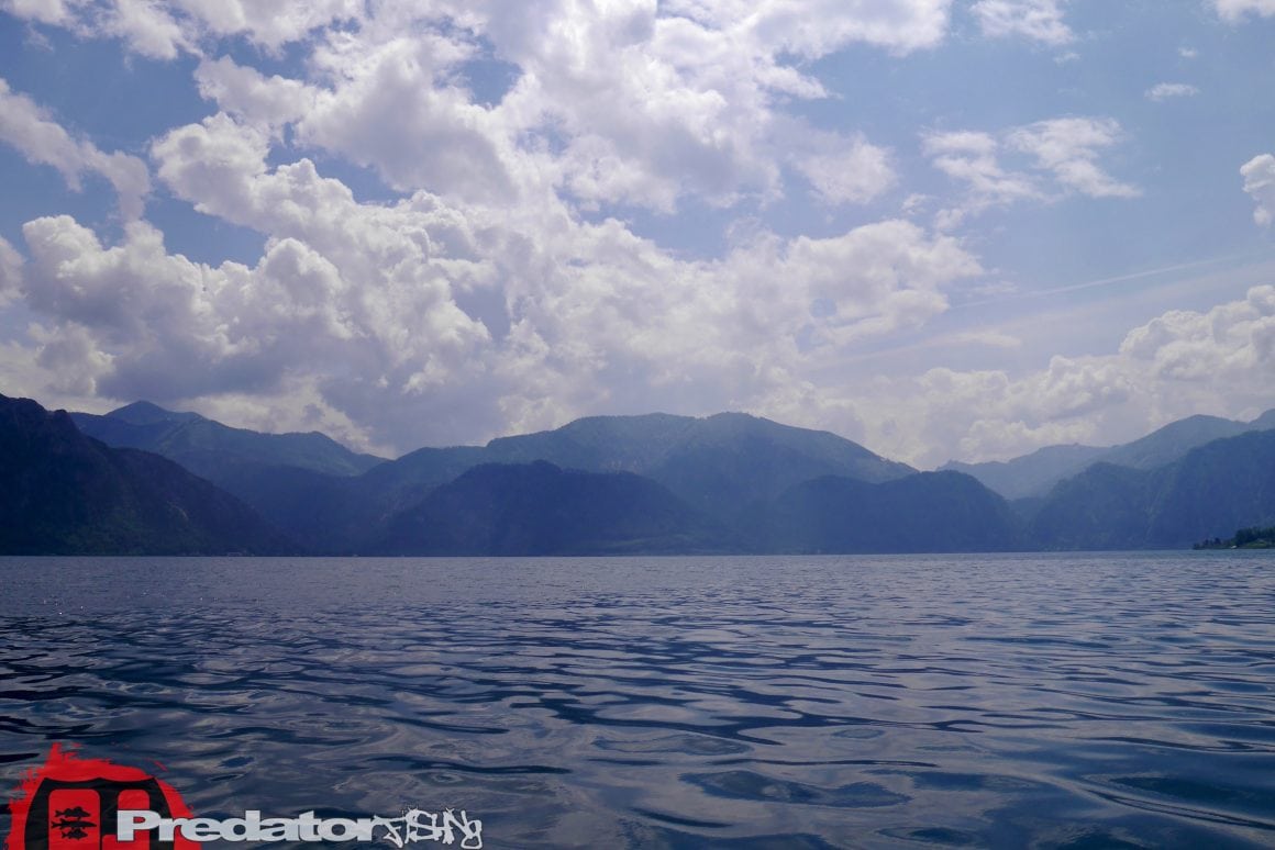 Raubfisch-Angeln am Attersee