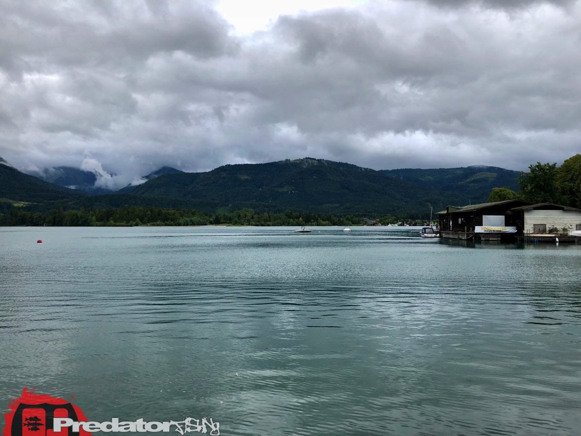 Raubfisch-Angeln am Wolfgangsee im Salzkammergut