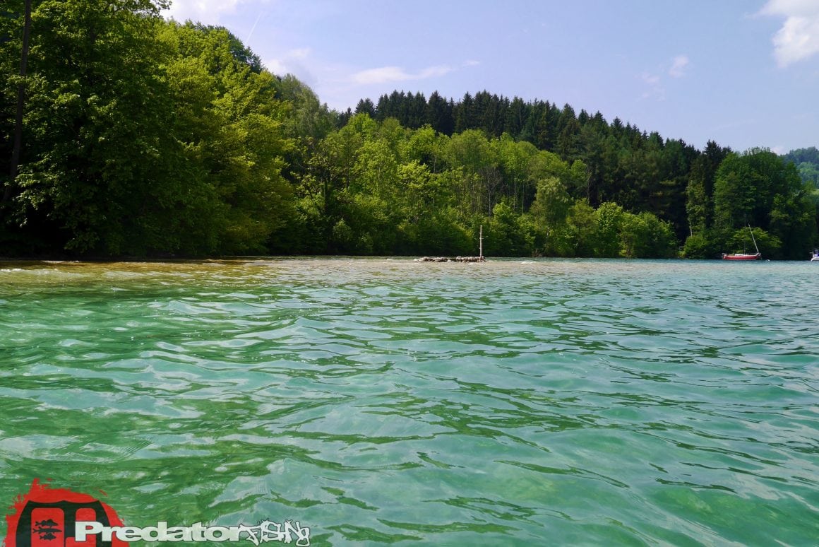 Raubfisch-Angeln am Attersee