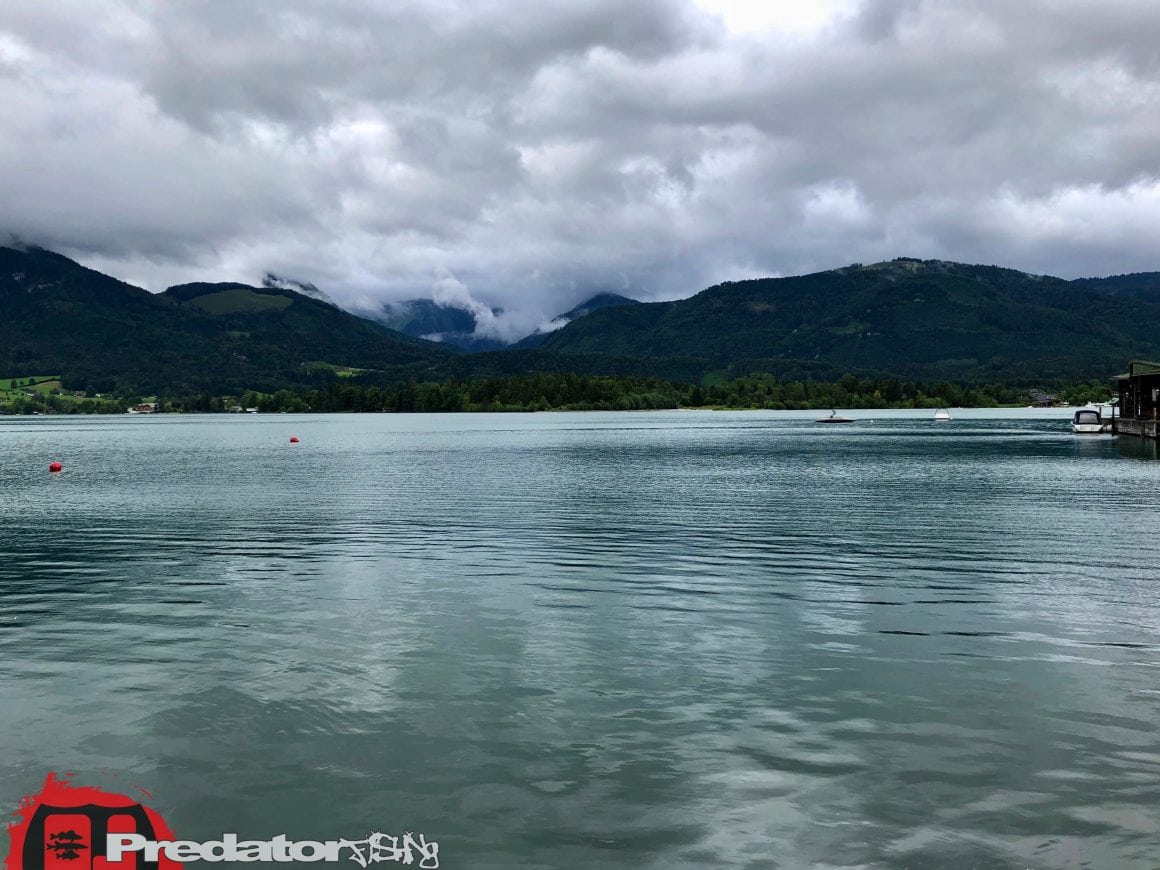 Raubfisch-Angeln am Wolfgangsee im Salzkammergut