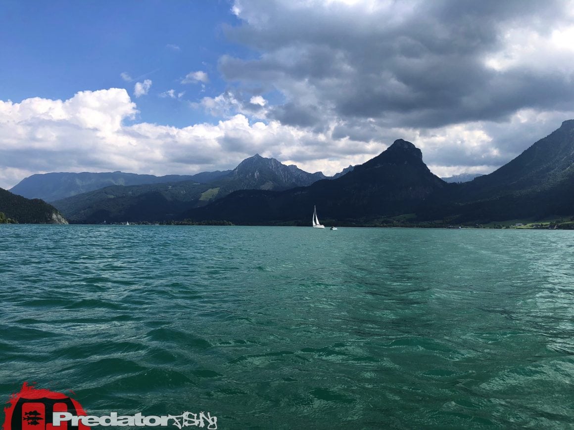 Raubfisch-Angeln am Wolfgangsee im Salzkammergut
