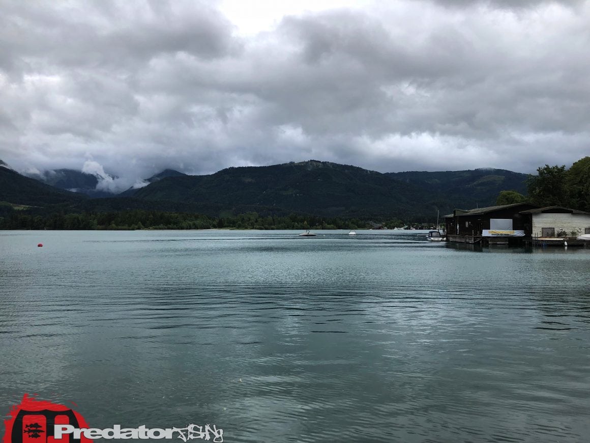Raubfisch-Angeln am Wolfgangsee im Salzkammergut
