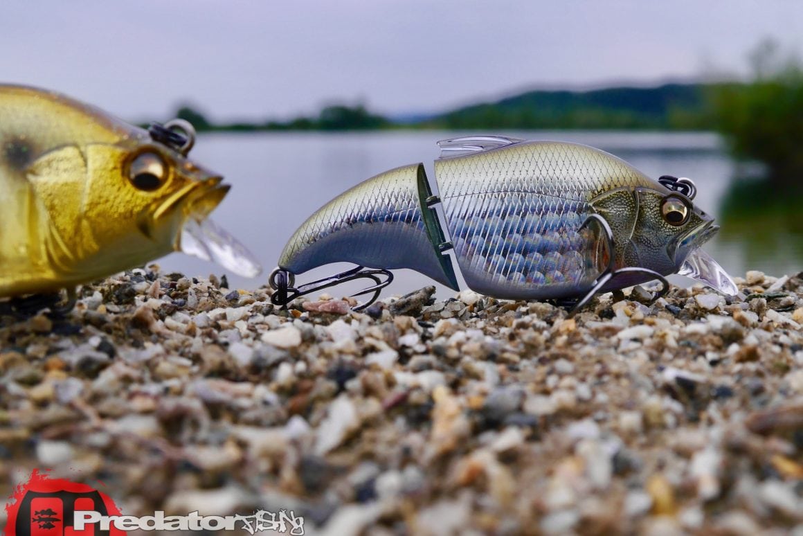 Megabass-Vibration-X-Vatalion