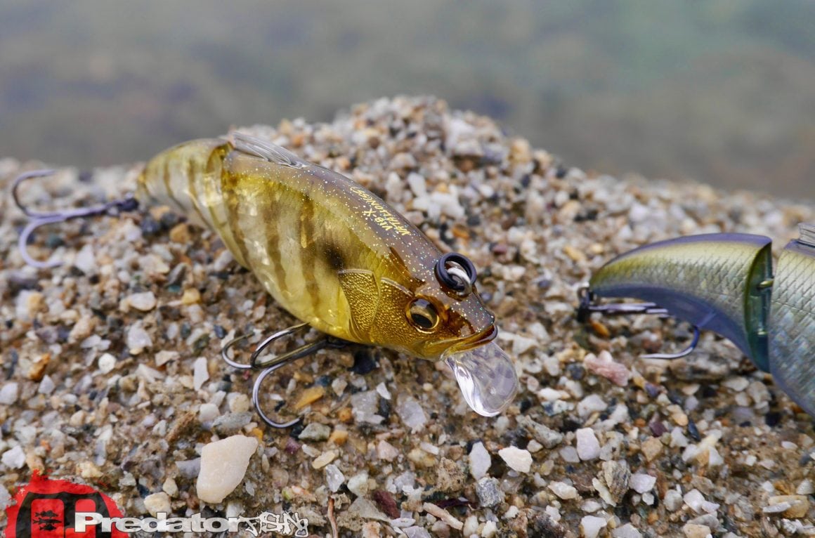 Megabass-Vibration-X-Vatalion